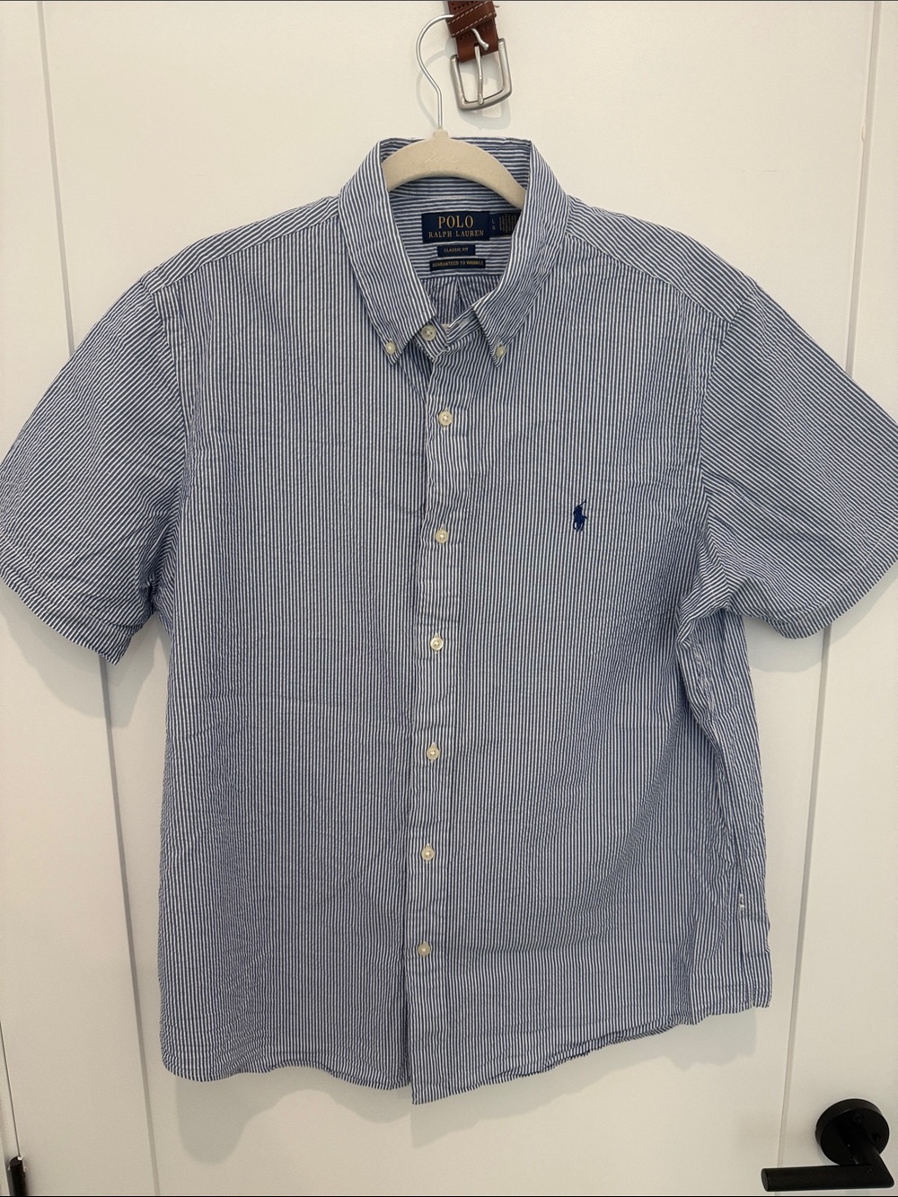 Polo by Ralph Lauren Blue and White Striped Short Sleeve Button-Down Shirt